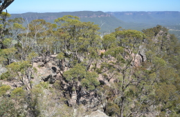 Shipley Plateau