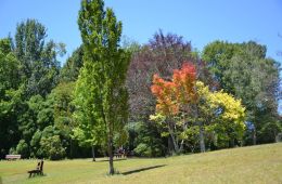 Blackheath Memorial Park